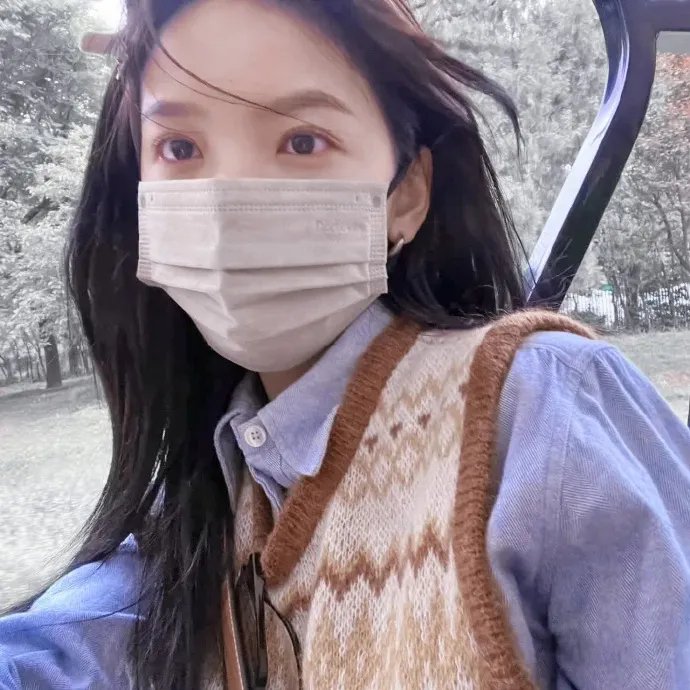 躲在阁楼的安妮·法兰克